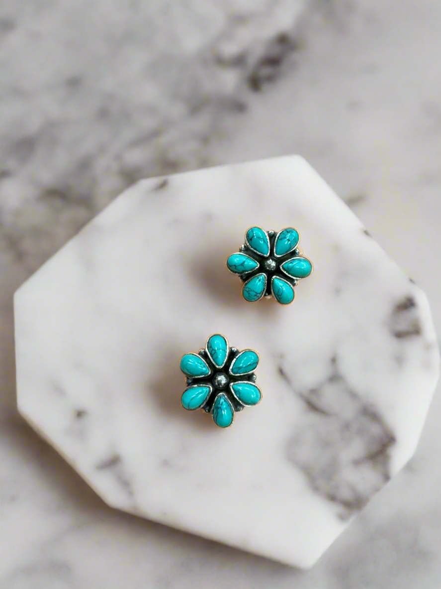92.5 Silver Turquoise And Pink  Round Earrings