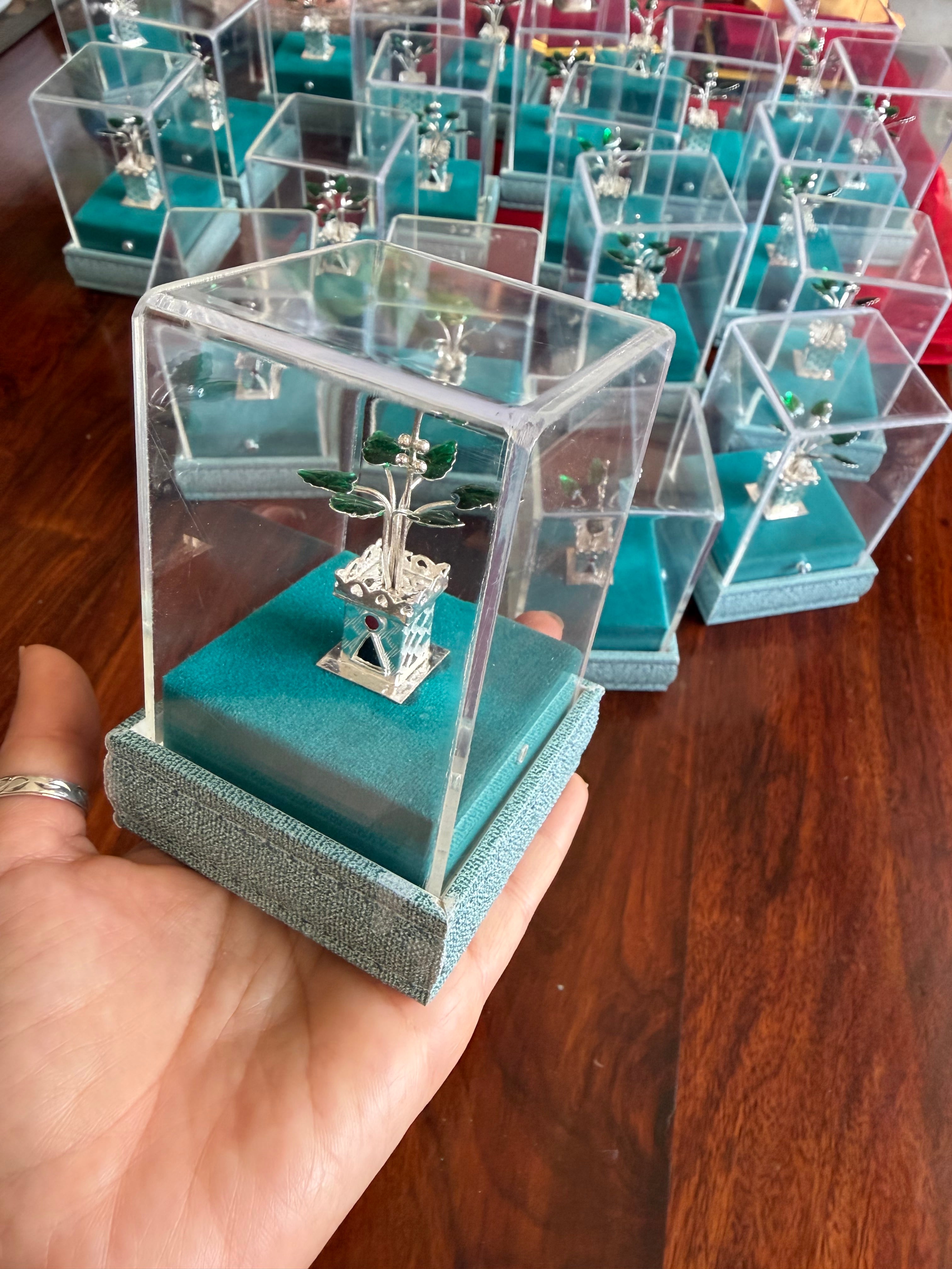 Silver Tulsi Plant in Pot (700 Silver) - Silver