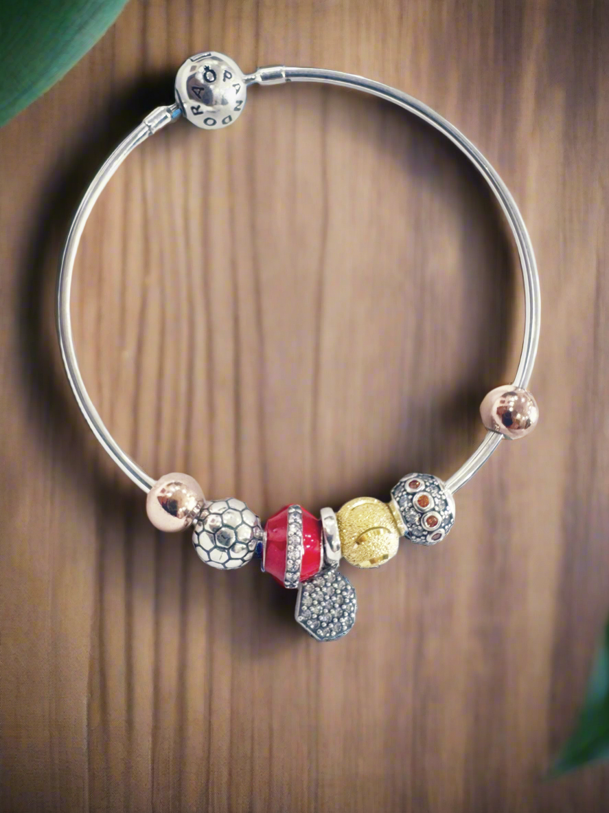 Pandora Universe Charms Bracelet 92.5 Silver
