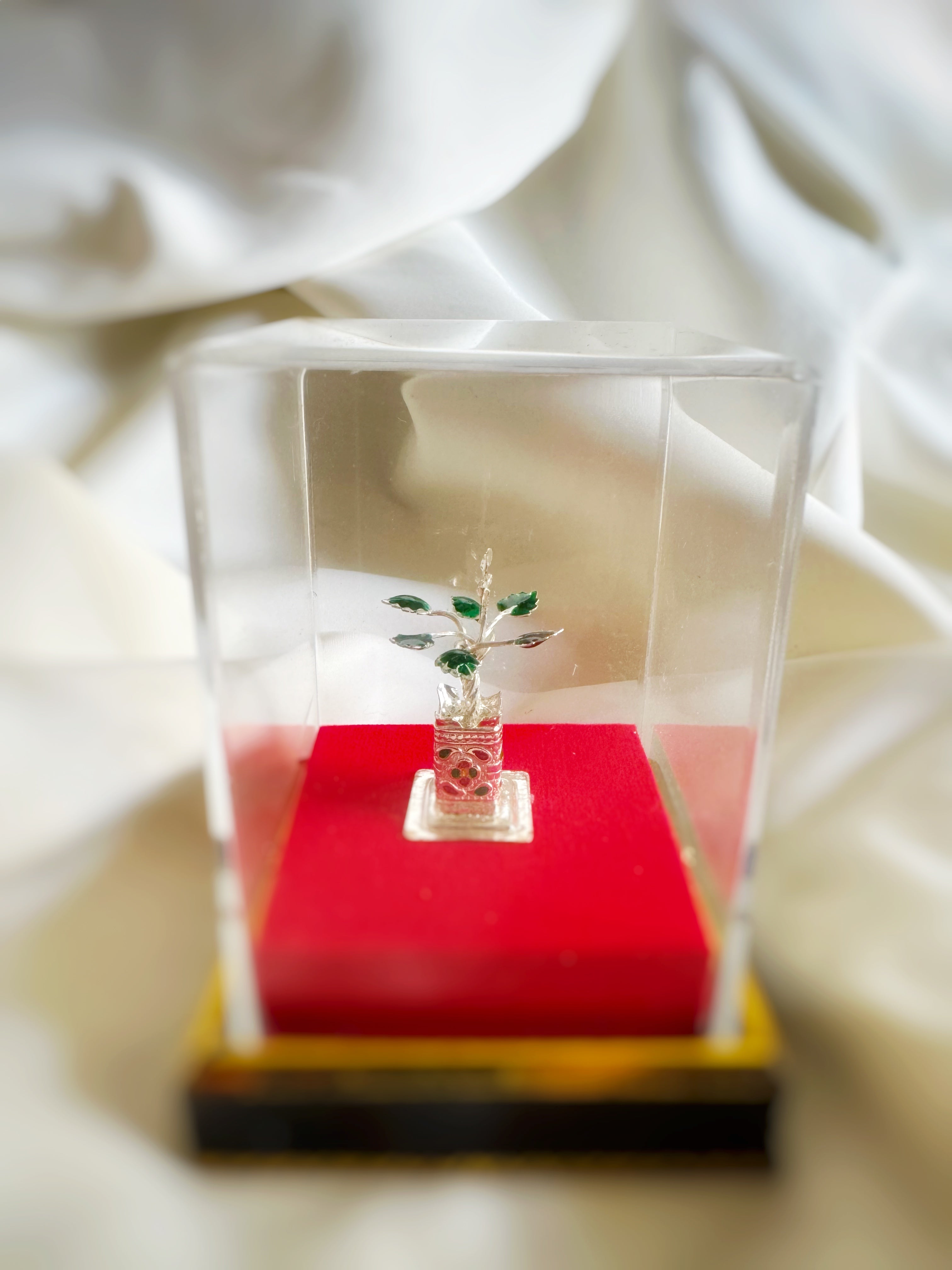 Small Silver Tulsi Plant in Pot (700 Silver) - Silver
