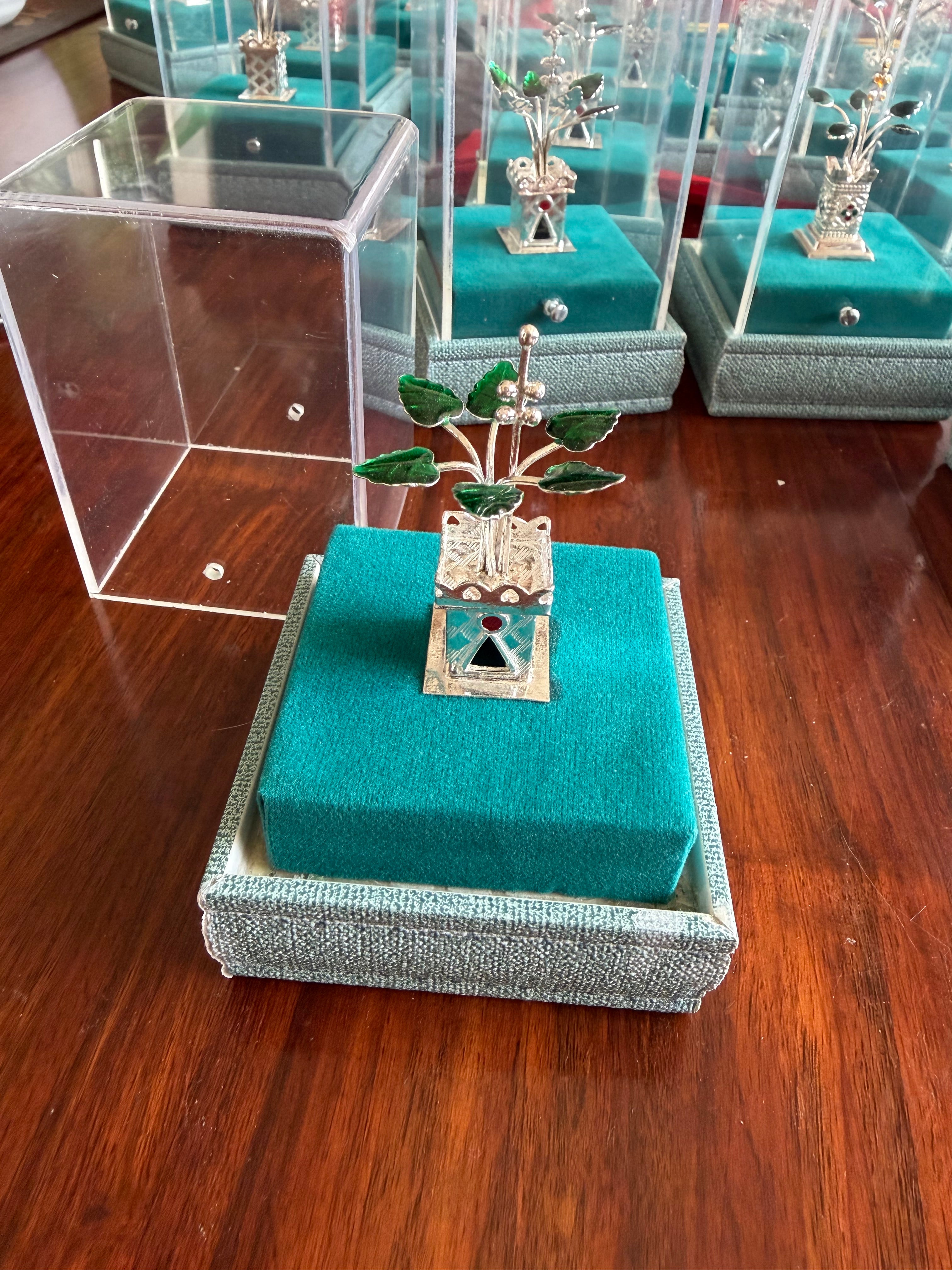 Silver Tulsi Plant in Pot (700 Silver) - Silver
