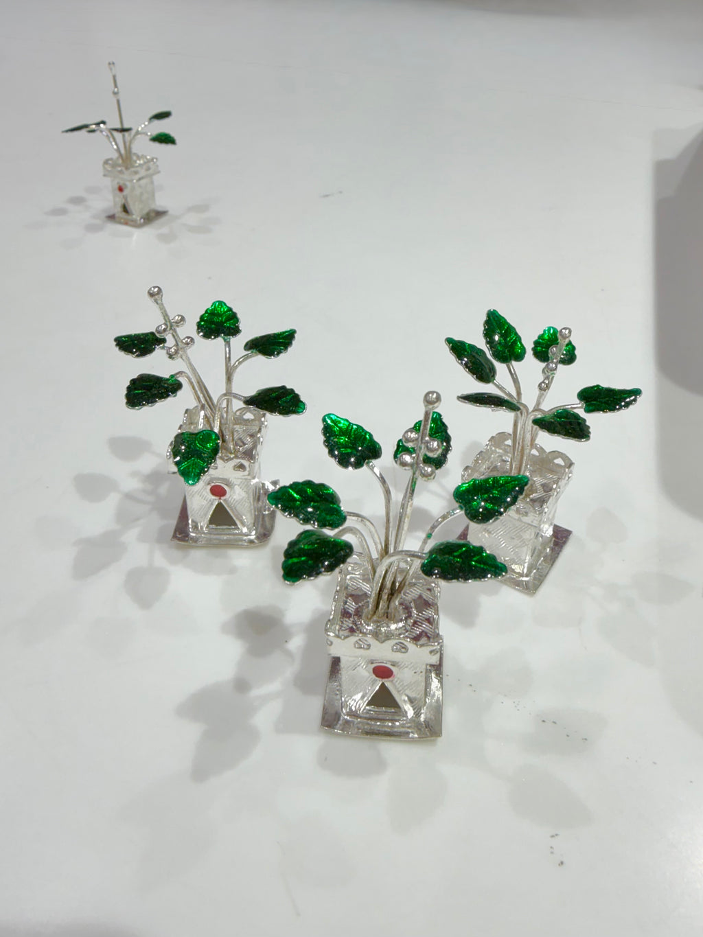 Silver Tulsi Plant in Pot (700 Silver) - Silver