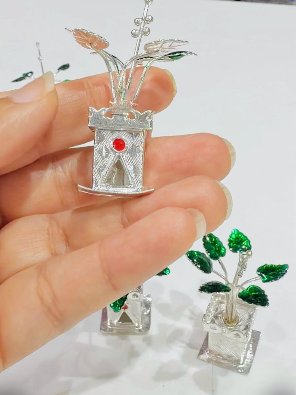Silver Tulsi Plant in Pot (700 Silver) - Silver