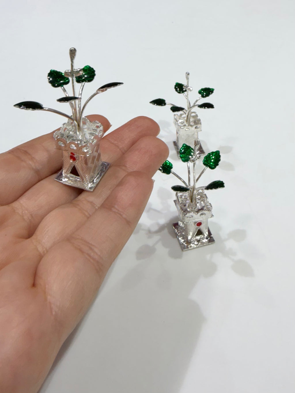 Silver Tulsi Plant in Pot (700 Silver) - Silver