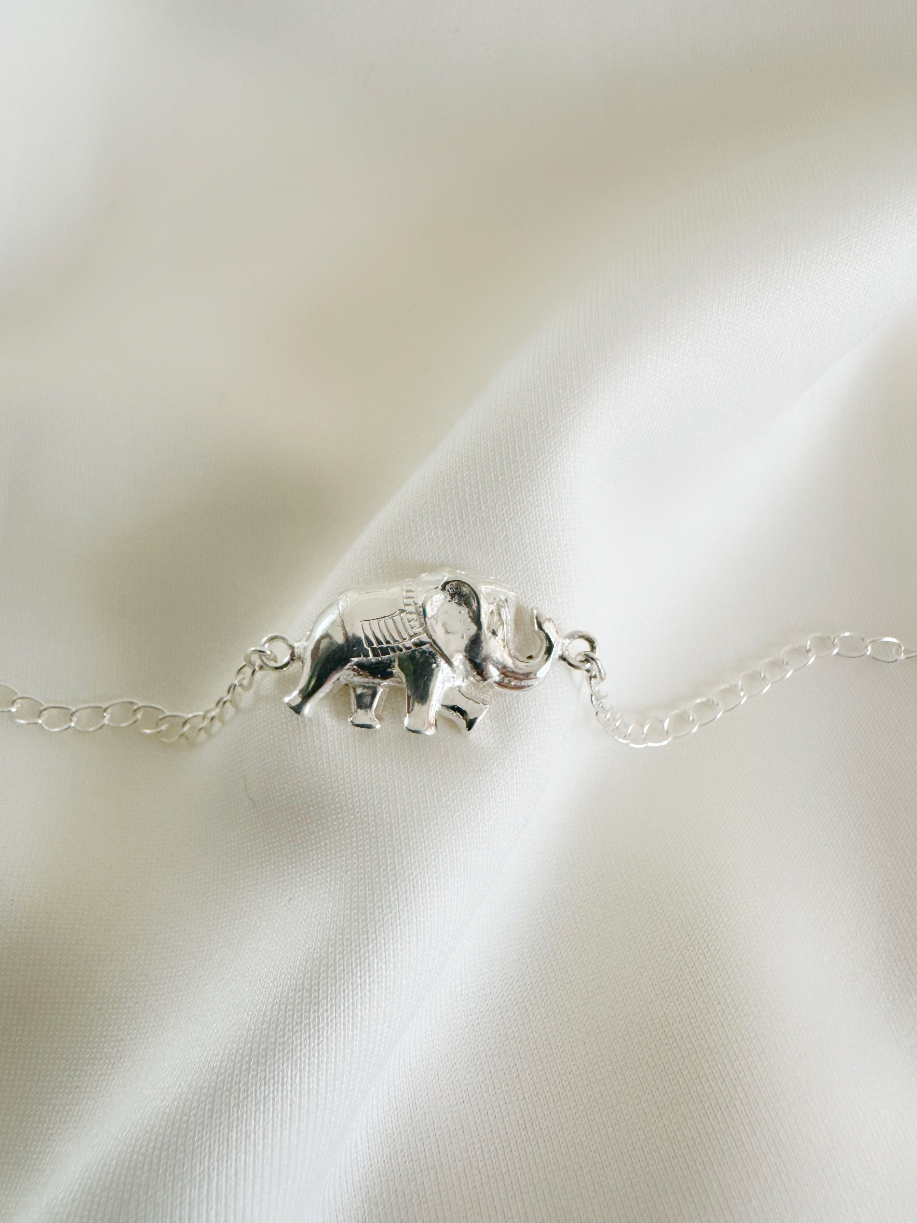 Haathi Shakti Handcrafted Rakhi in Pure 92.5 Silver